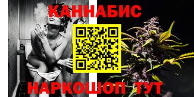 сатива Можайск