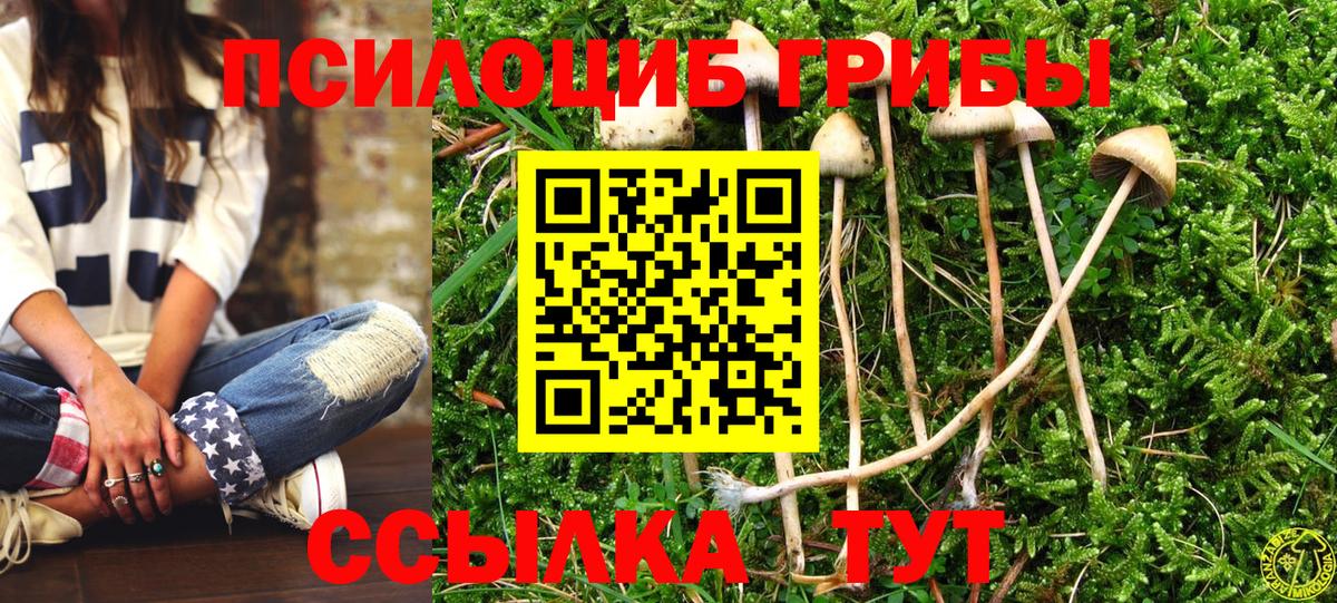 Псилоцибиновые грибы мухоморы Урюпинск