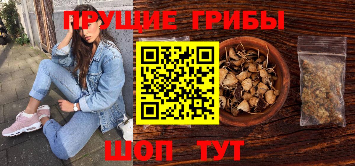 Псилоцибиновые грибы Psilocybine cubensis  Вход с VPN  Галлюциногенные грибы мицелий  Урюпинск 